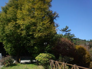 画像 010.jpg
