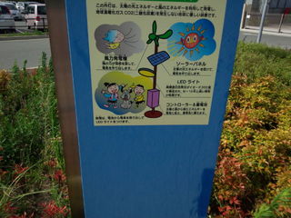 IMG_20130804_154439.jpg