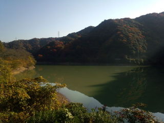 IMG_20131201_090959.jpg