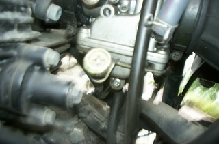 DCP_0190.jpg