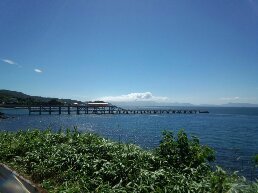画像 013.jpg