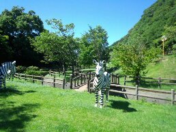 画像 023.jpg